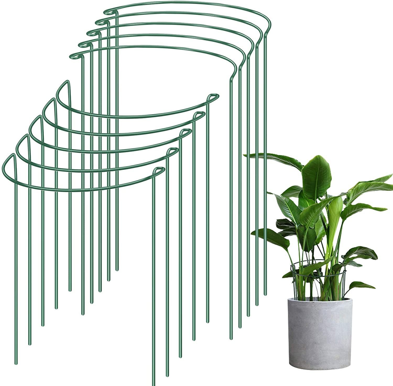 Plant Support Stands - Green